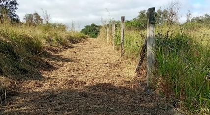 Captura de tela 2026-06-17 154544